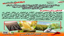 اطلاعیه ترویجی پیشگیری و کنترل آفت برگخوار و  ساقه خوار در مزارع ذرت، شالی، پنبه و سویا  